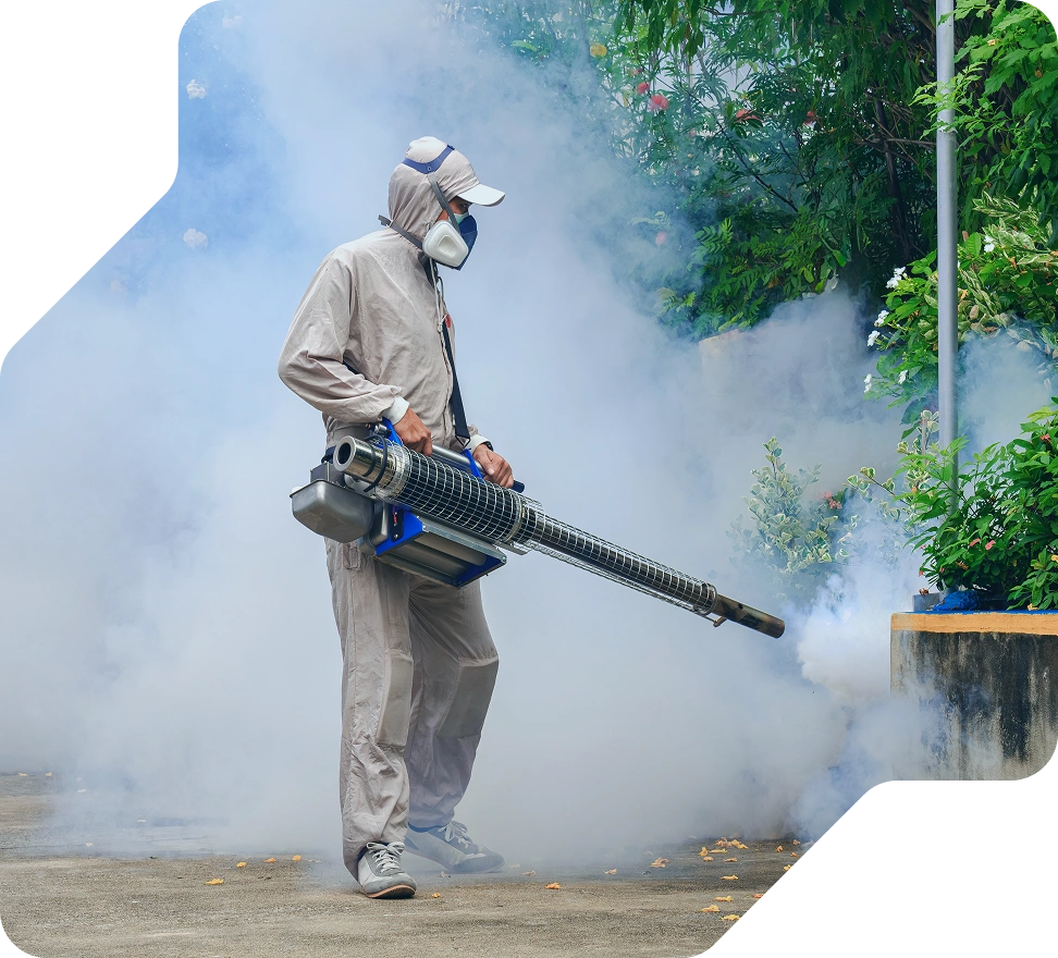Why-Fumigation-is-essential_